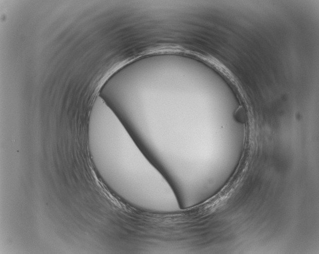 X0000054390953200507290803