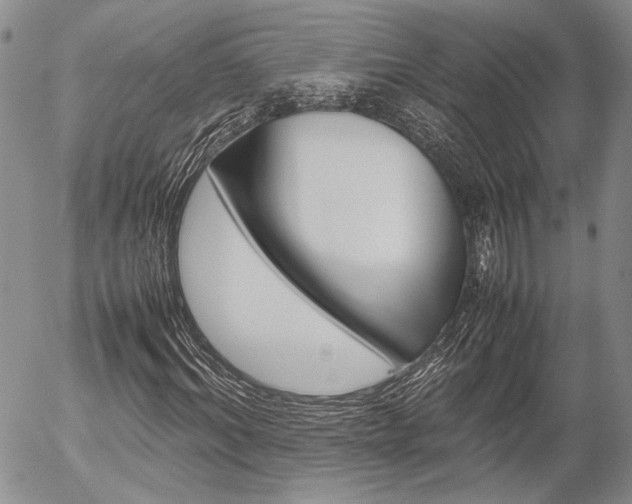 X0000054390964200507290802