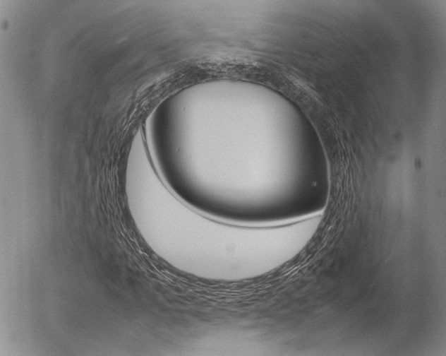 X0000054390965200507290802