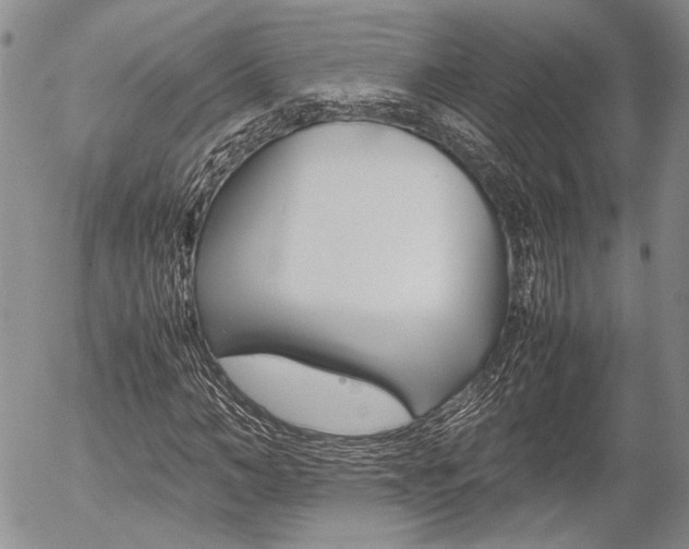 X0000054390966200507290802