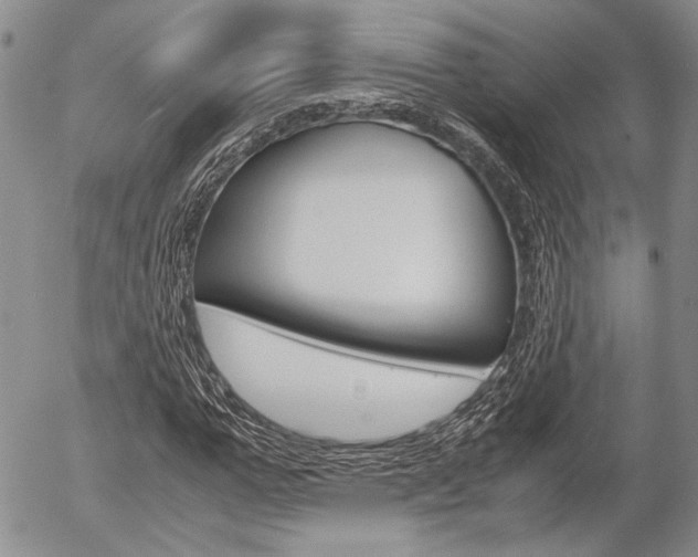 X0000054390967200507290802