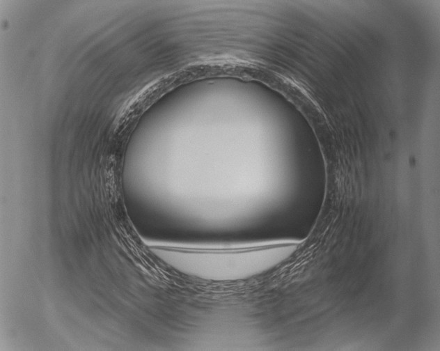 X0000054390968200507290802
