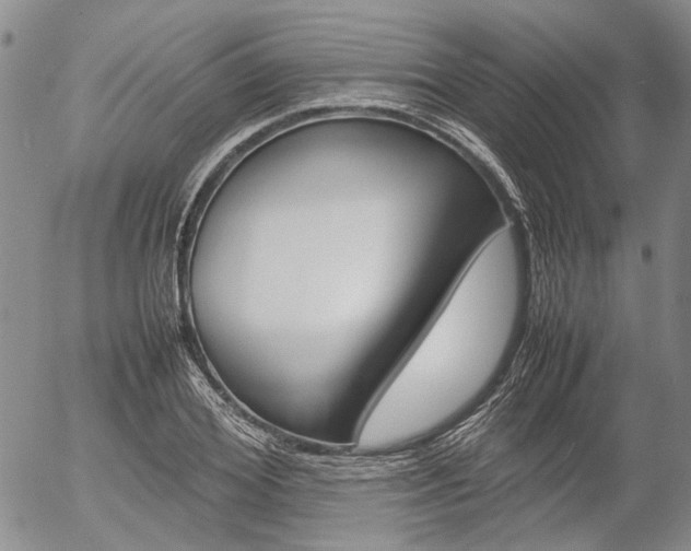X0000054390980200507290802