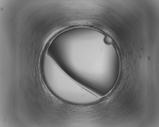 X0000054390983200507290802
