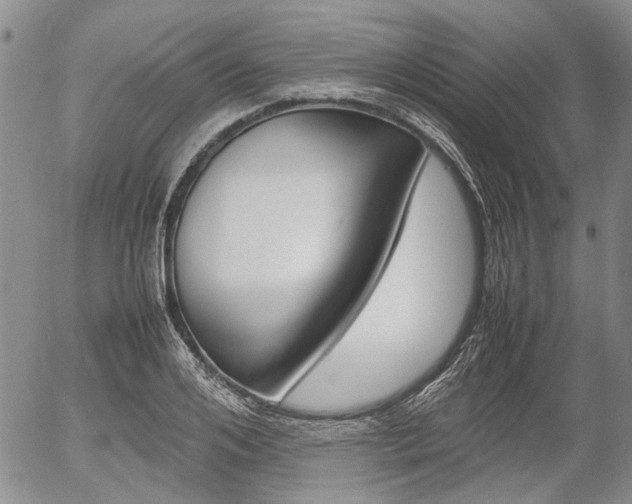 X0000054390984200507290802