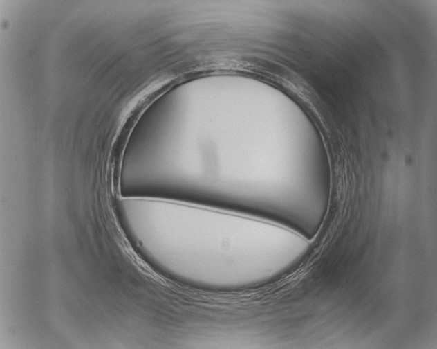 X0000054390987200507290802