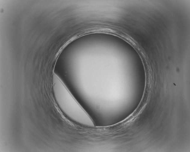 X0000054391001200507290801