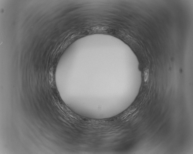 X0000054391011200507290801