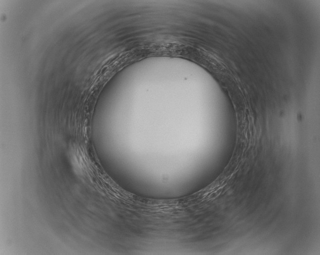 X0000054391013200507290801