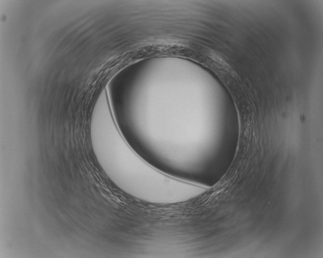 X0000054391014200507290801
