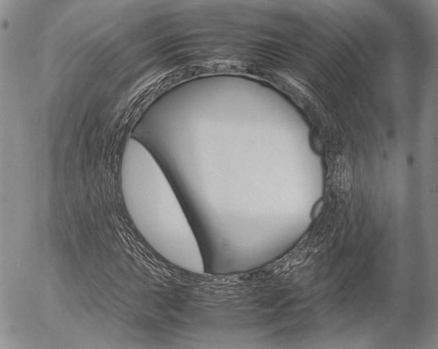 X0000054391015200507290801