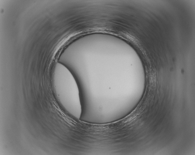 X0000054391023200507290801
