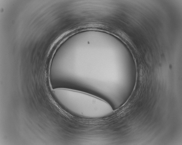 X0000054391024200507290801
