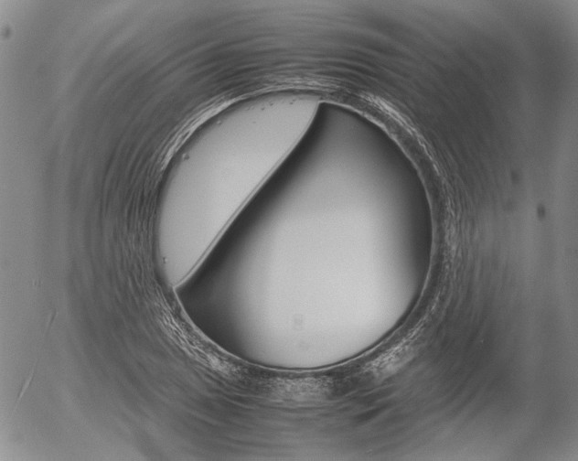 X0000054391025200507290801