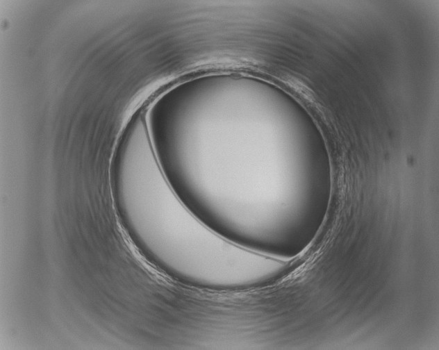 X0000054391030200507290801