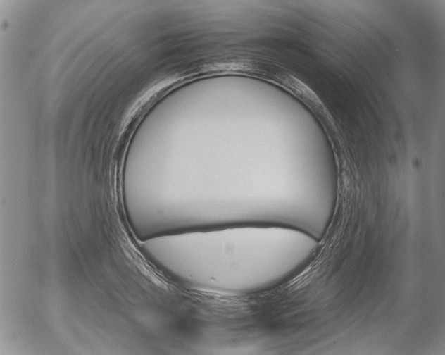 X0000054391035200507290801
