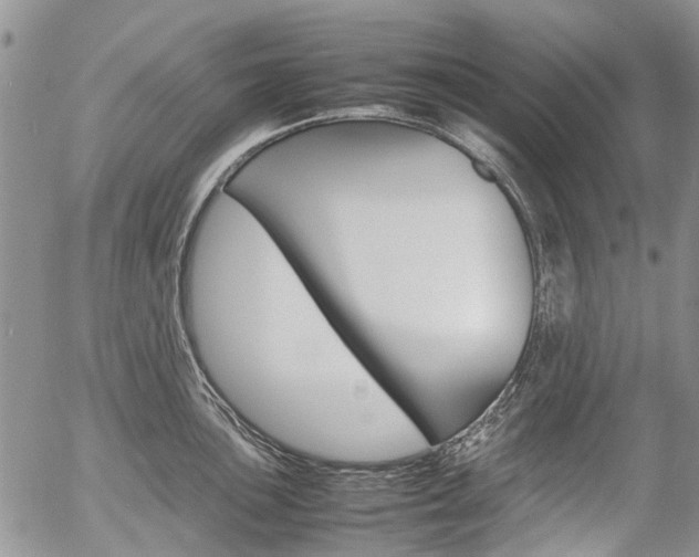 X0000054391051200507290801