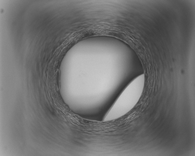 X0000054391057200507290801