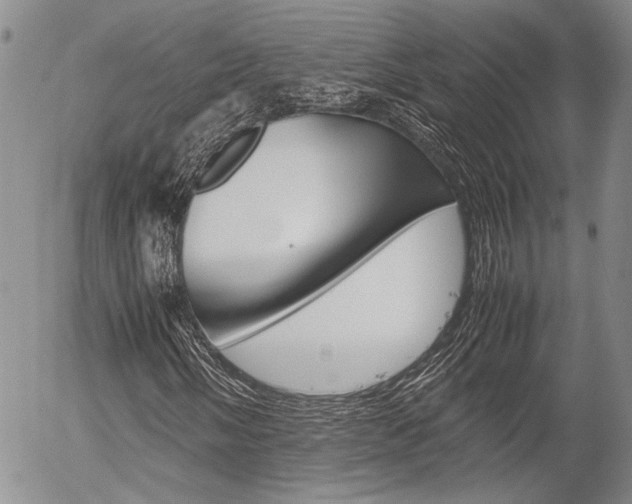 X0000054391058200507290800