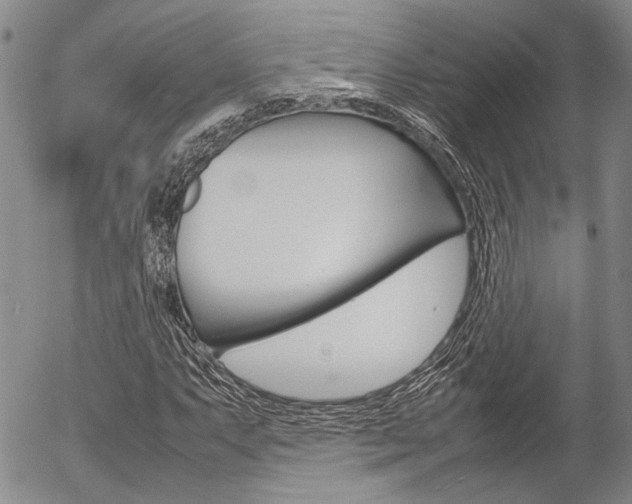 X0000054391063200507290800