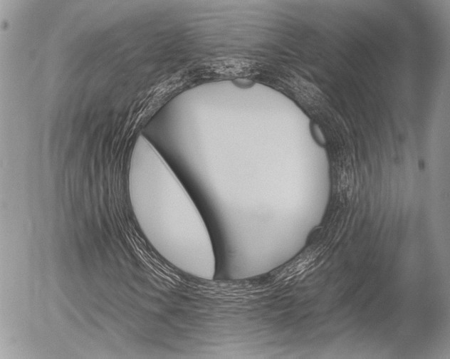 X0000054391106200507290759