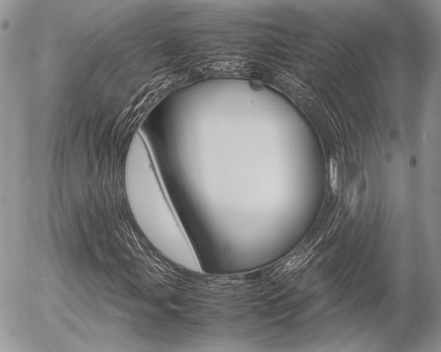 X0000054391107200507290759