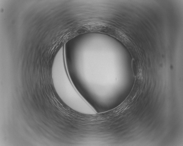 X0000054391108200507290759