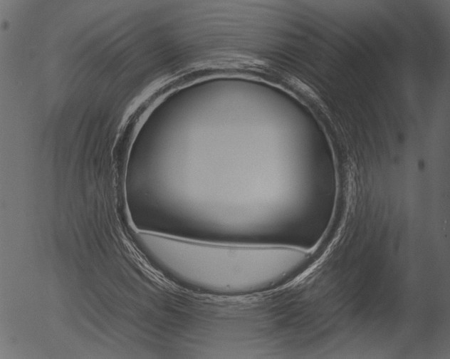 X0000054391114200507290759