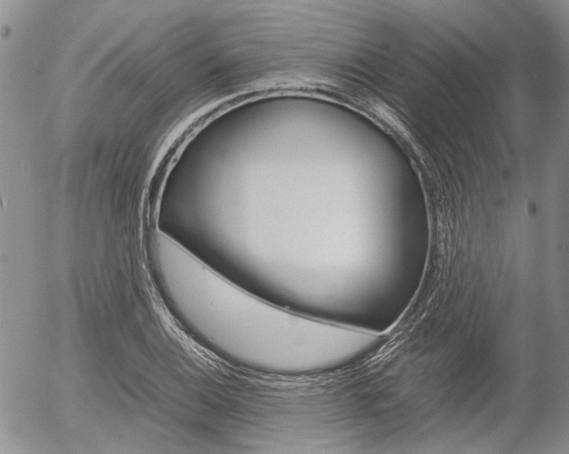 X0000054391124200507290759