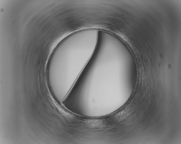 X0000054391127200507290759