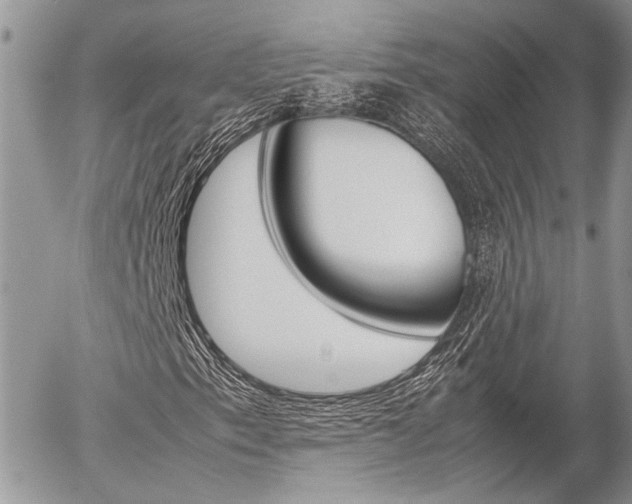 X0000054391153200507290759
