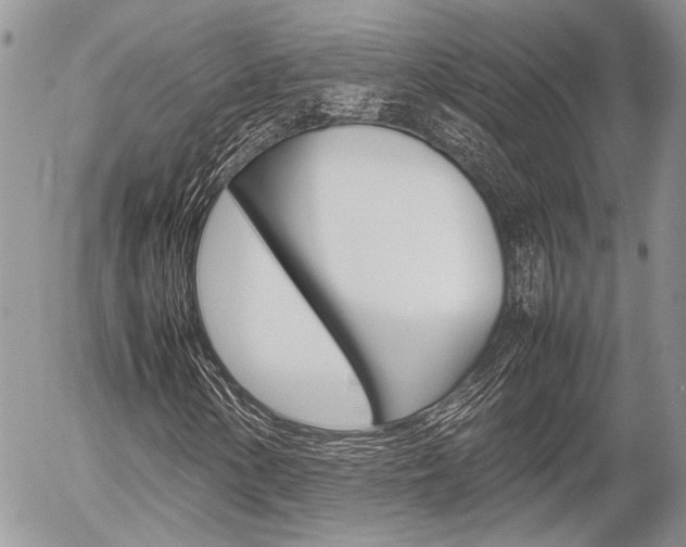 X0000054391154200507290759