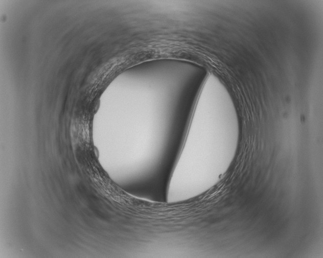X0000054391155200507290759