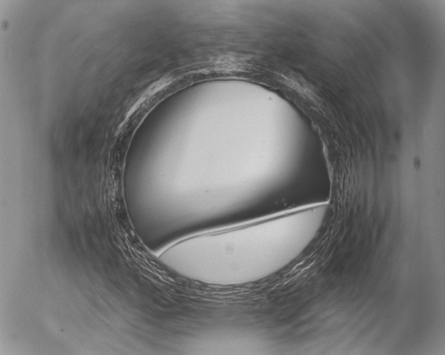 X0000054391160200507290759