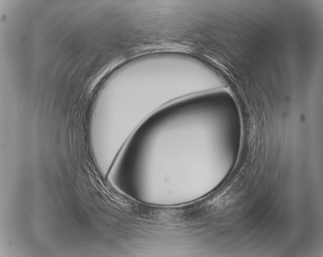 X0000054391163200507290759