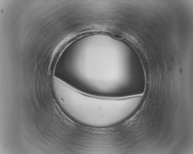 X0000054391172200507290759