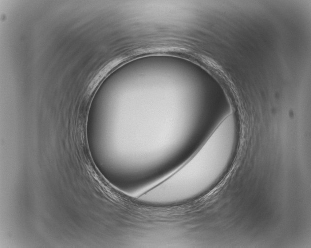 X0000054391177200507290759