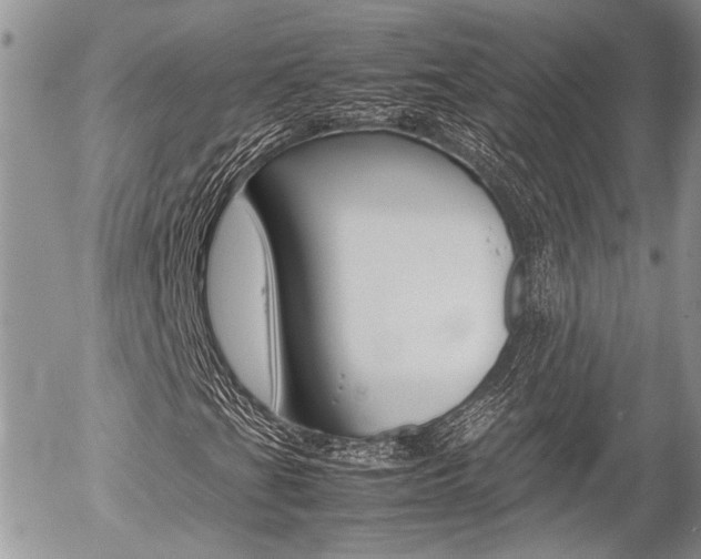 X0000054391201200507290757