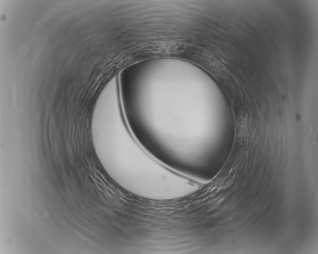 X0000054391202200507290757