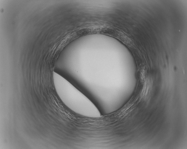X0000054391204200507290757
