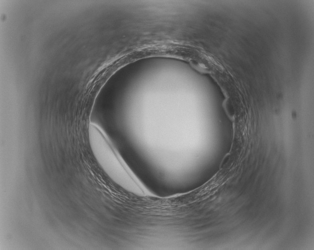 X0000054391206200507290757