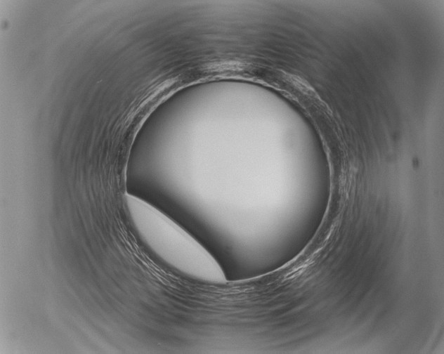X0000054391209200507290758