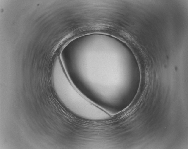 X0000054391210200507290758