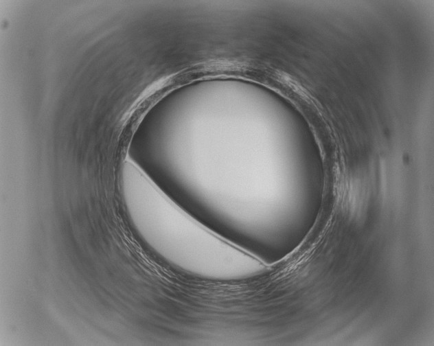 X0000054391213200507290758