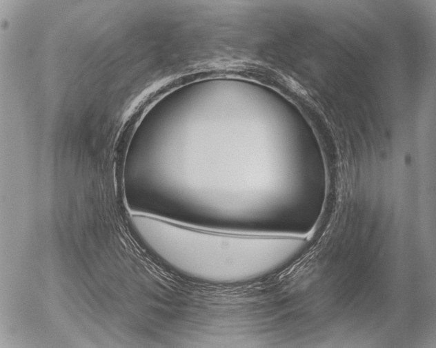 X0000054391214200507290758