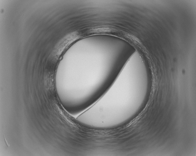X0000054391225200507290758