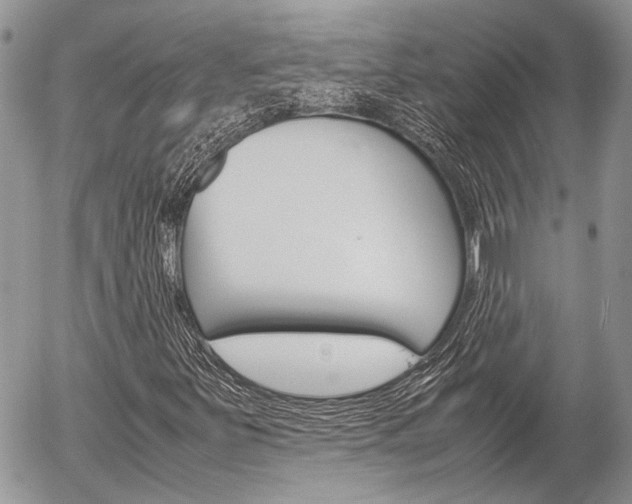 X0000054391251200507290757