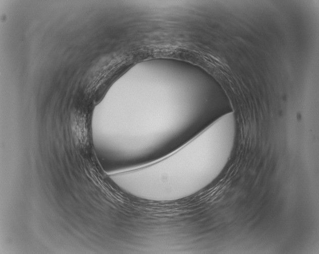 X0000054391252200507290757
