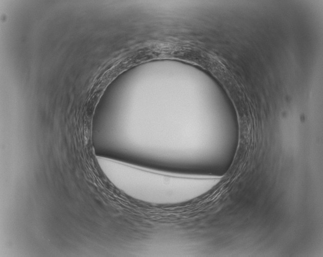 X0000054391253200507290757