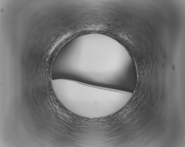 X0000054391256200507290757